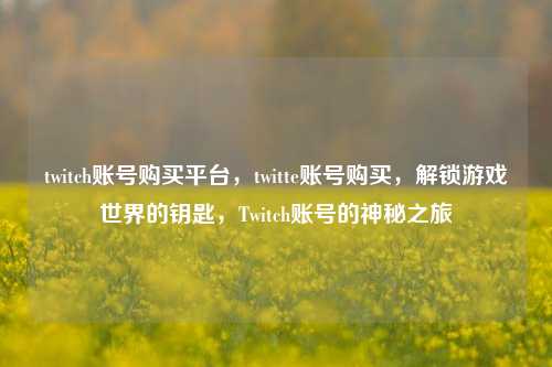 twitch账号购买平台	，twitte账号购买，解锁游戏世界的钥匙，Twitch账号的神秘之旅  第1张