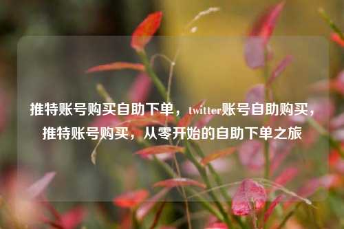 推特账号购买自助下单，twitter账号自助购买，推特账号购买，从零开始的自助下单之旅
