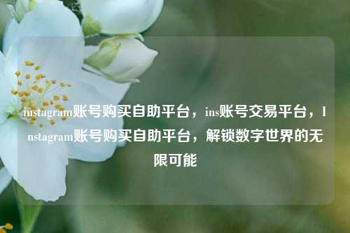 instagram账号购买自助平台，ins账号交易平台，Instagram账号购买自助平台，解锁数字世界的无限可能