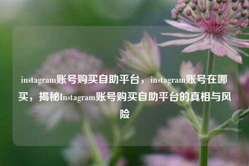 instagram账号购买自助平台，instagram账号在哪买，揭秘Instagram账号购买自助平台的真相与风险