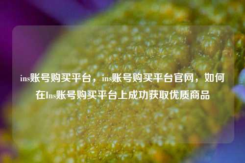 ins账号购买平台，ins账号购买平台官网，如何在Ins账号购买平台上成功获取优质商品  第1张
