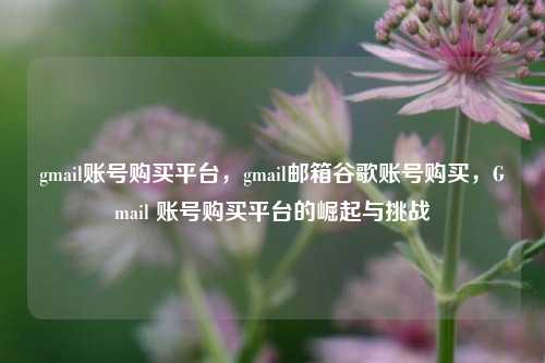 gmail账号购买平台，gmail邮箱谷歌账号购买，Gmail 账号购买平台的崛起与挑战