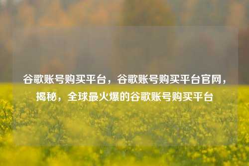 谷歌账号购买平台，谷歌账号购买平台官网，揭秘，全球最火爆的谷歌账号购买平台