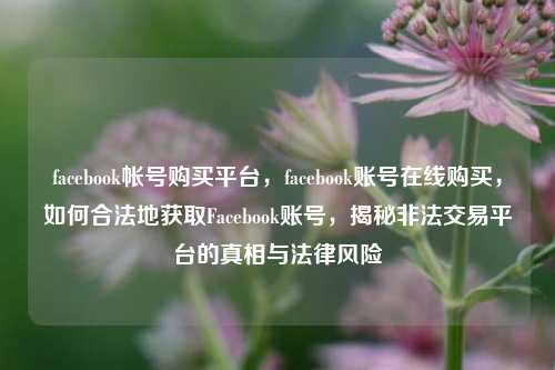facebook帐号购买平台，facebook账号在线购买，如何合法地获取Facebook账号，揭秘非法交易平台的真相与法律风险