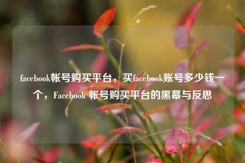 facebook帐号购买平台，买facebook账号多少钱一个，Facebook 帐号购买平台的黑幕与反思