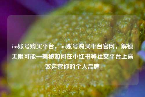 ins账号购买平台，ins账号购买平台官网，解锁无限可能—揭秘如何在小红书等社交平台上高效运营你的个人品牌