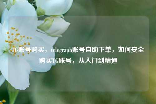 TG账号购买，telegraph账号自助下单，如何安全购买TG账号，从入门到精通