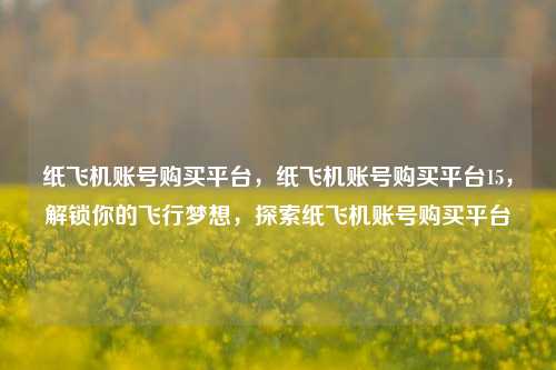 纸飞机账号购买平台，纸飞机账号购买平台15，解锁你的飞行梦想，探索纸飞机账号购买平台