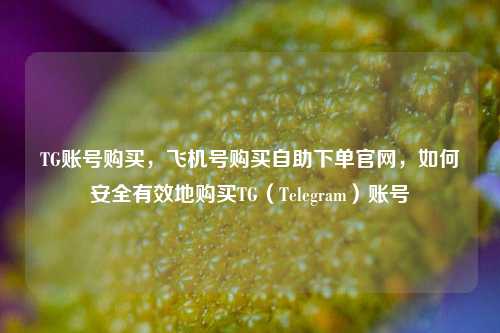 TG账号购买，飞机号购买自助下单官网，如何安全有效地购买TG（Telegram）账号
