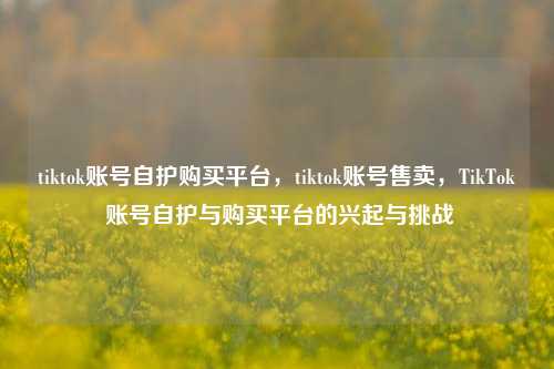 tiktok账号自护购买平台，tiktok账号售卖，TikTok 账号自护与购买平台的兴起与挑战