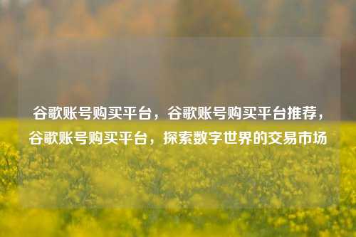 谷歌账号购买平台，谷歌账号购买平台推荐，谷歌账号购买平台，探索数字世界的交易市场