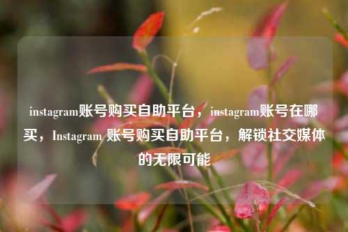 instagram账号购买自助平台，instagram账号在哪买	，Instagram 账号购买自助平台，解锁社交媒体的无限可能  第1张
