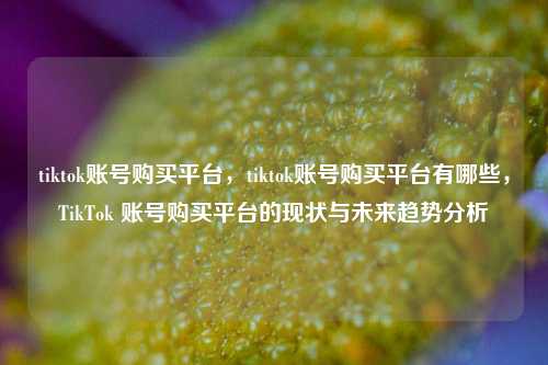 tiktok账号购买平台，tiktok账号购买平台有哪些，TikTok 账号购买平台的现状与未来趋势分析