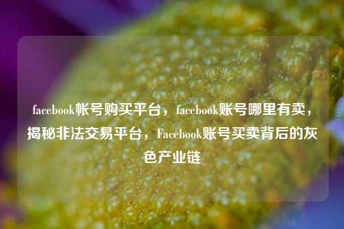 facebook帐号购买平台，facebook账号哪里有卖，揭秘非法交易平台	，Facebook账号买卖背后的灰色产业链  第1张