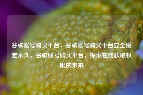 谷歌账号购买平台，谷歌账号购买平台安全稳定永久，谷歌账号购买平台，探索在线获取权限的未来
