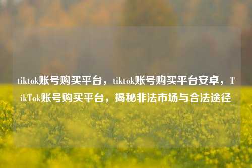 tiktok账号购买平台，tiktok账号购买平台安卓，TikTok账号购买平台，揭秘非法市场与合法途径