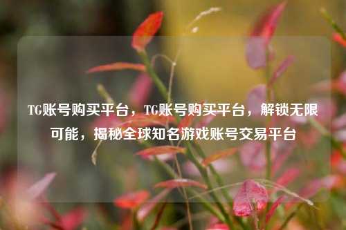 TG账号购买平台，TG账号购买平台，解锁无限可能，揭秘全球知名游戏账号交易平台