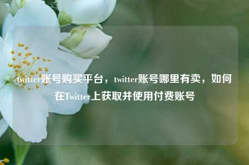 twitter账号购买平台，twitter账号哪里有卖，如何在Twitter上获取并使用付费账号