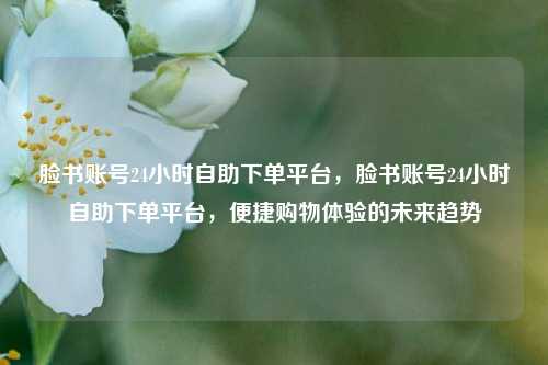 脸书账号24小时自助下单平台，脸书账号24小时自助下单平台，便捷购物体验的未来趋势