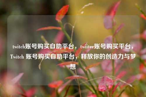 twitch账号购买自助平台，twiiter账号购买平台，Twitch 账号购买自助平台，释放你的创造力与梦想