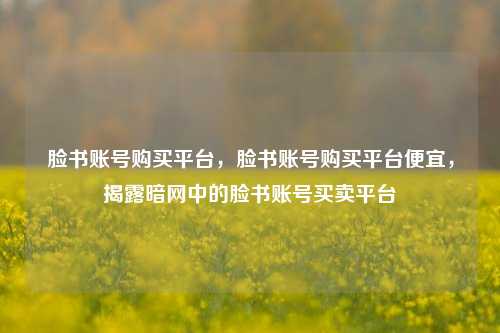 脸书账号购买平台，脸书账号购买平台便宜，揭露暗网中的脸书账号买卖平台