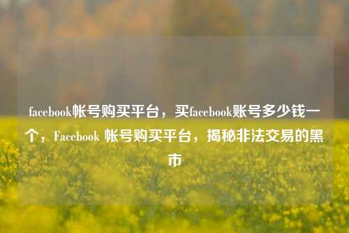 facebook帐号购买平台，买facebook账号多少钱一个，Facebook 帐号购买平台	，揭秘非法交易的黑市  第1张