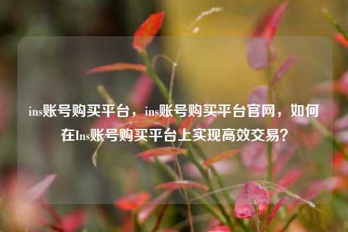 ins账号购买平台，ins账号购买平台官网，如何在Ins账号购买平台上实现高效交易？