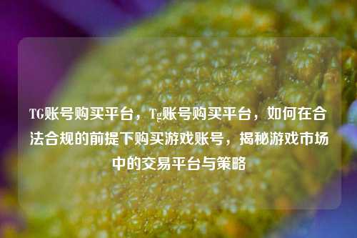 TG账号购买平台，Tg账号购买平台，如何在合法合规的前提下购买游戏账号，揭秘游戏市场中的交易平台与策略