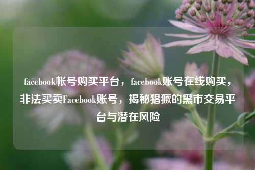 facebook帐号购买平台，facebook账号在线购买，非法买卖Facebook账号，揭秘猖獗的黑市交易平台与潜在风险