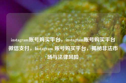 instagram账号购买平台，instagram账号购买平台微信支付，Instagram 账号购买平台，揭秘非法市场与法律风险