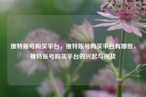 推特账号购买平台，推特账号购买平台有哪些，推特账号购买平台的兴起与挑战