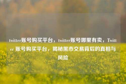 twitter账号购买平台，twitter账号哪里有卖，Twitter 账号购买平台，揭秘黑市交易背后的真相与风险