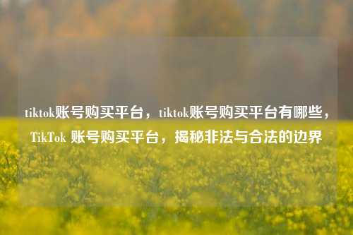 tiktok账号购买平台，tiktok账号购买平台有哪些，TikTok 账号购买平台，揭秘非法与合法的边界