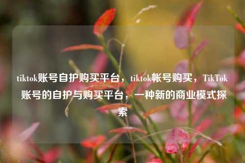 tiktok账号自护购买平台，tiktok帐号购买，TikTok 账号的自护与购买平台	，一种新的商业模式探索  第1张