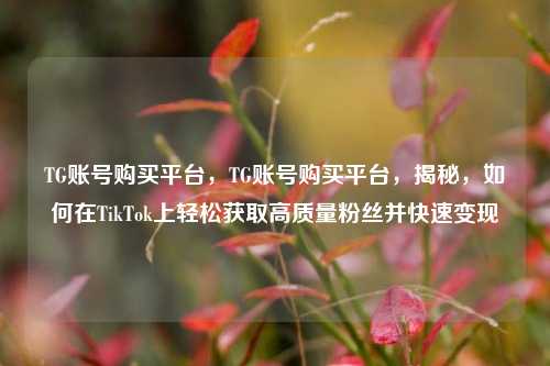 TG账号购买平台，TG账号购买平台，揭秘，如何在TikTok上轻松获取高质量粉丝并快速变现