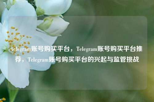 telegram账号购买平台，Telegram账号购买平台推荐，Telegram账号购买平台的兴起与监管挑战