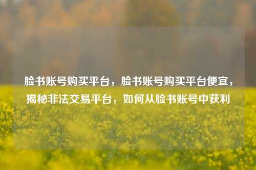 脸书账号购买平台，脸书账号购买平台便宜，揭秘非法交易平台，如何从脸书账号中获利