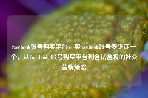 facebook帐号购买平台，买facebook账号多少钱一个，从Facebook 帐号购买平台到合法合规的社交营销策略