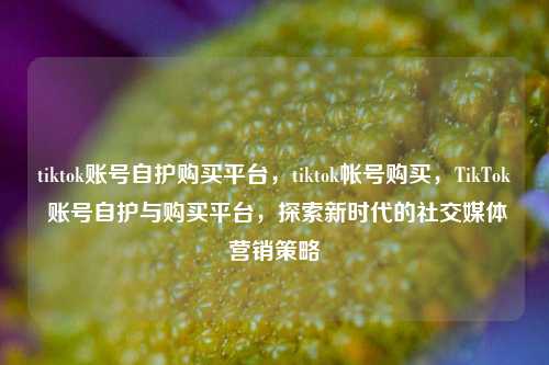 tiktok账号自护购买平台，tiktok帐号购买，TikTok 账号自护与购买平台	，探索新时代的社交媒体营销策略  第1张