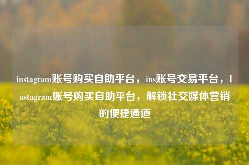 instagram账号购买自助平台，ins账号交易平台，Instagram账号购买自助平台，解锁社交媒体营销的便捷通道