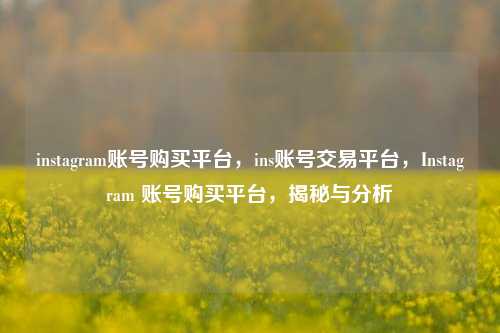instagram账号购买平台，ins账号交易平台，Instagram 账号购买平台，揭秘与分析