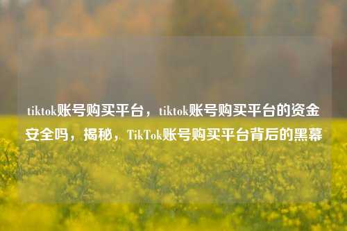 tiktok账号购买平台，tiktok账号购买平台的资金安全吗	，揭秘，TikTok账号购买平台背后的黑幕  第1张