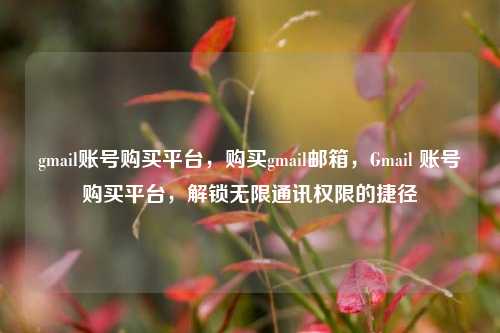 gmail账号购买平台，购买gmail邮箱，Gmail 账号购买平台，解锁无限通讯权限的捷径