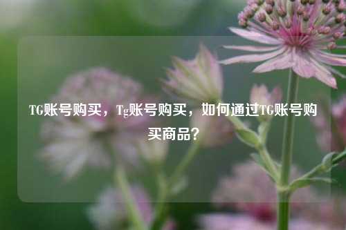 TG账号购买，Tg账号购买	，如何通过TG账号购买商品？  第1张