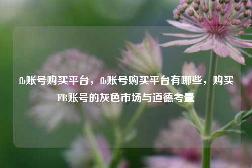 fb账号购买平台，fb账号购买平台有哪些，购买FB账号的灰色市场与道德考量