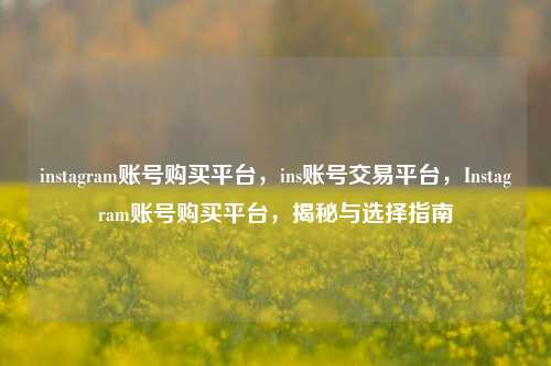instagram账号购买平台，ins账号交易平台，Instagram账号购买平台，揭秘与选择指南
