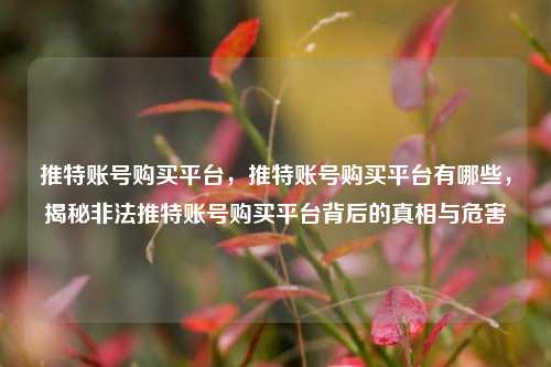推特账号购买平台，推特账号购买平台有哪些，揭秘非法推特账号购买平台背后的真相与危害