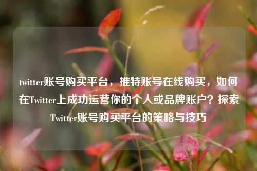 twitter账号购买平台，推特账号在线购买，如何在Twitter上成功运营你的个人或品牌账户？探索Twitter账号购买平台的策略与技巧