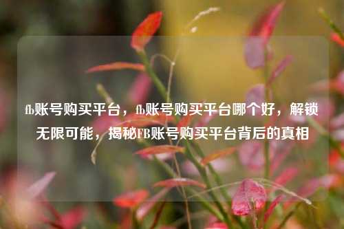 fb账号购买平台，fb账号购买平台哪个好，解锁无限可能，揭秘FB账号购买平台背后的真相