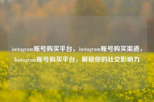 instagram账号购买平台，instagram账号购买渠道，Instagram账号购买平台，解锁你的社交影响力